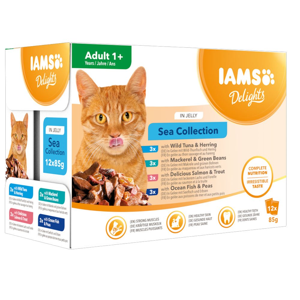 Iams Cat Mixed Pack Sea Collection in Jelly 8x85g
