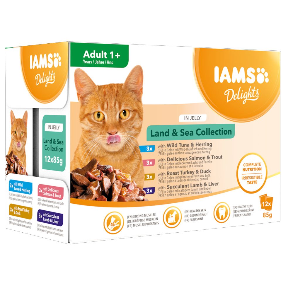 Iams Cat Mixed Pack Land & Sea Collection in Jelly 8x85g